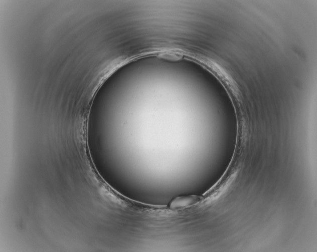 X0000112081001200908111451