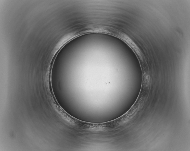 X0000112081002200908111451
