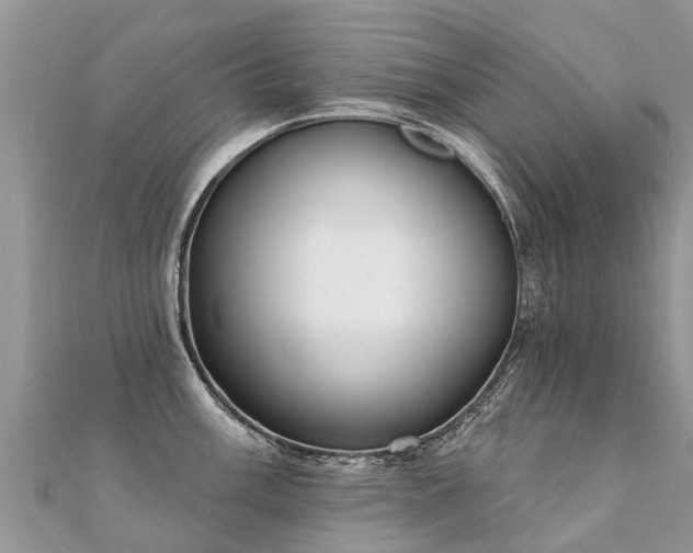 X0000112081003200908111451