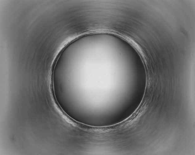 X0000112081005200908111451