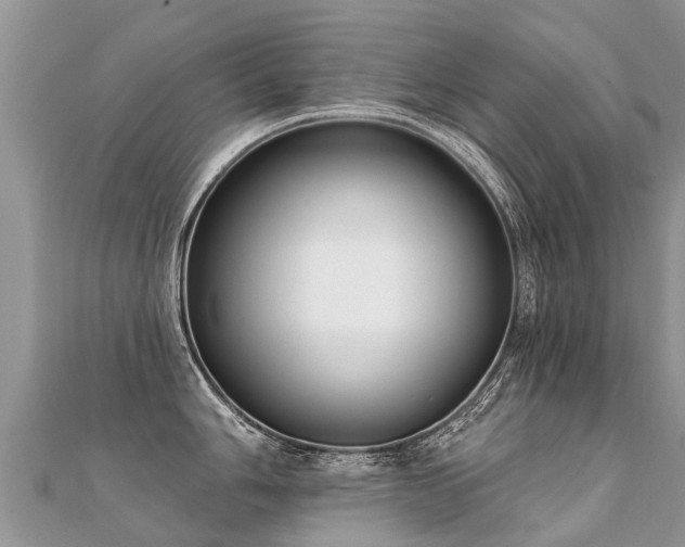 X0000112081006200908111451