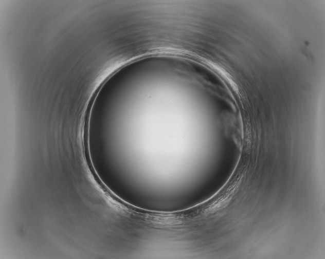 X0000112081007200908111451