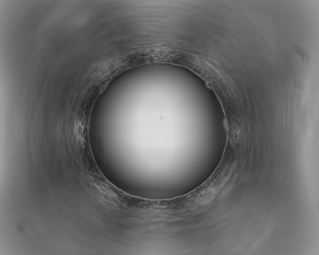 X0000112081010200908111450