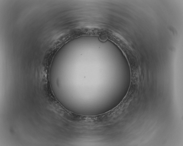 X0000112081013200908111450