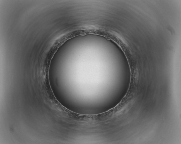 X0000112081016200908111450