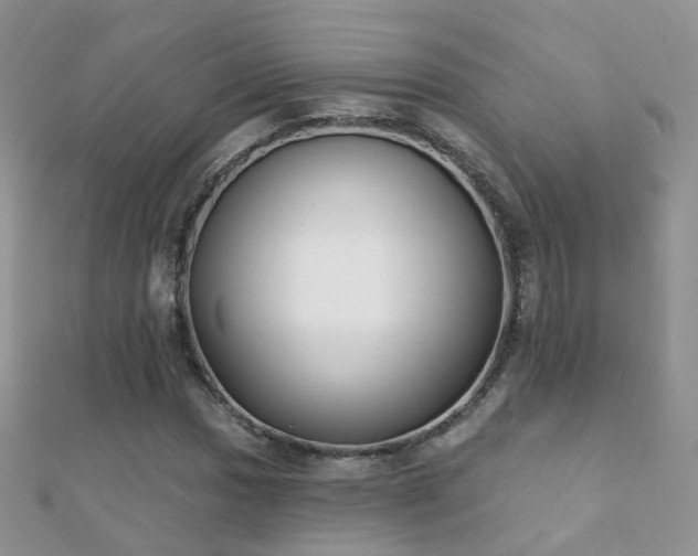 X0000112081017200908111450