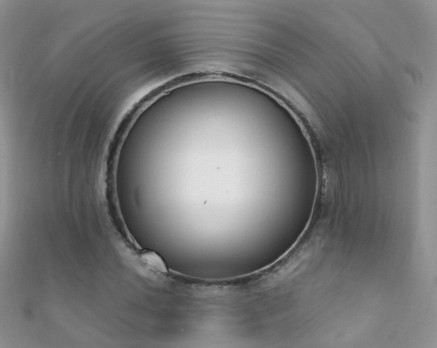 X0000112081020200908111450