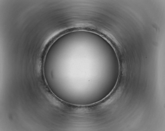 X0000112081021200908111450