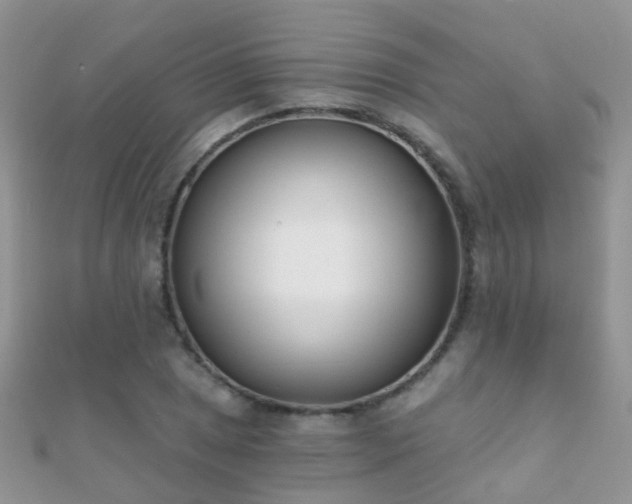 X0000112081025200908111450