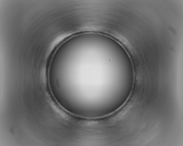 X0000112081030200908111450