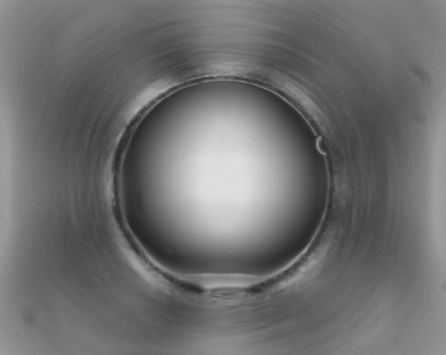 X0000112081034200908111450