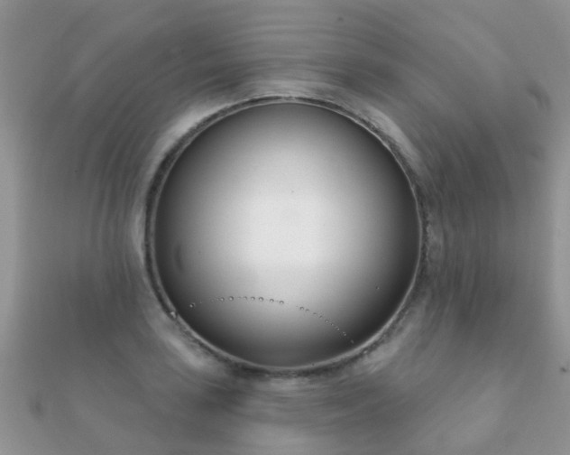 X0000112081035200908111450