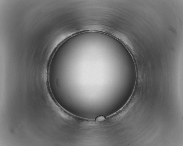 X0000112081040200908111450