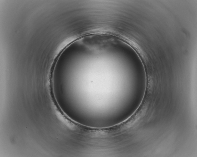 X0000112081042200908111450