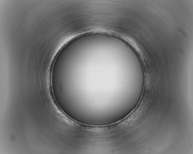 X0000112081048200908111450