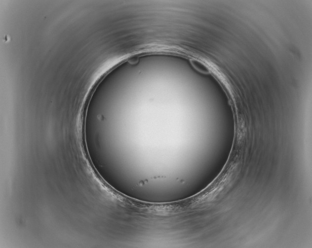 X0000112081053200908111450
