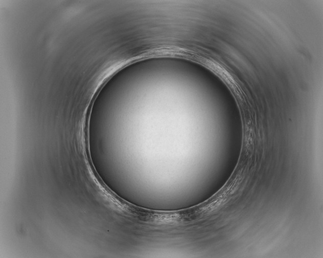 X0000112081055200908111451