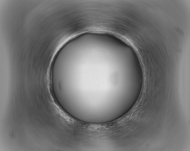 X0000112081056200908111451