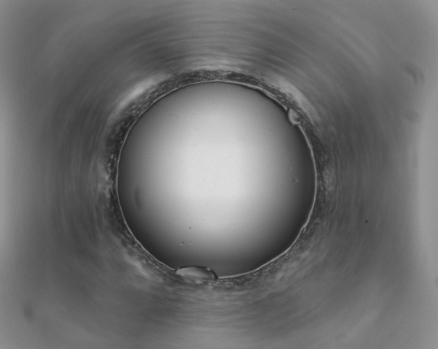 X0000112081064200908111450