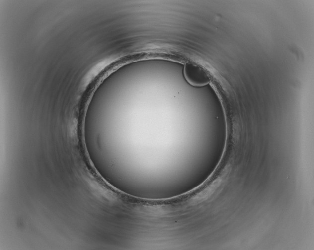 X0000112081066200908111450