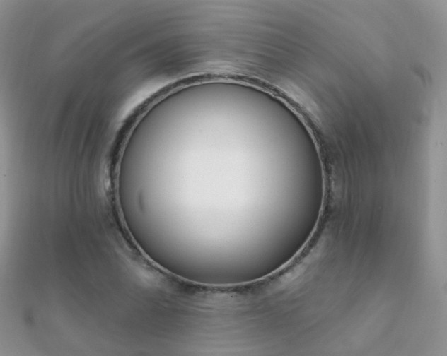 X0000112081070200908111450