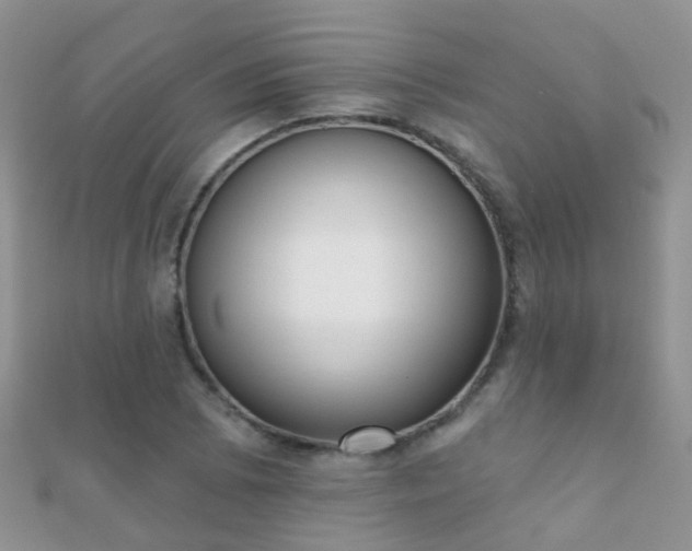 X0000112081073200908111450