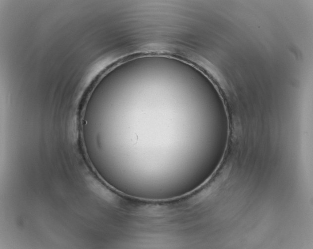 X0000112081075200908111450