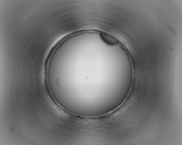 X0000112081076200908111450