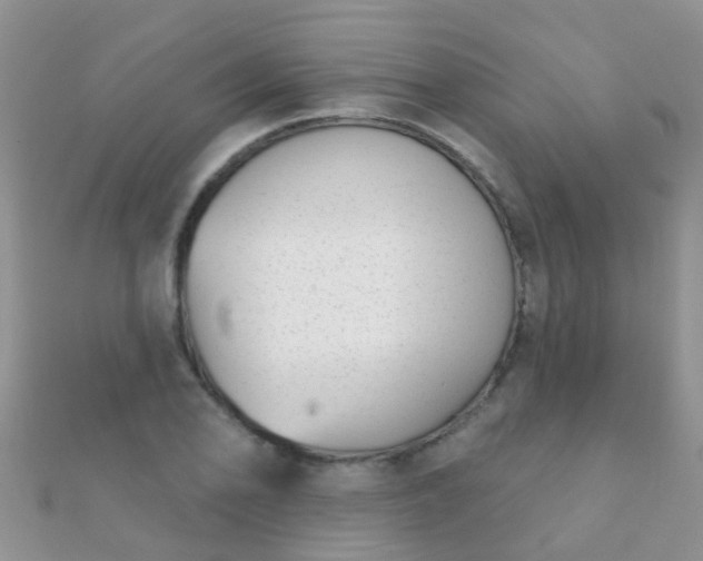 X0000112081078200908111450