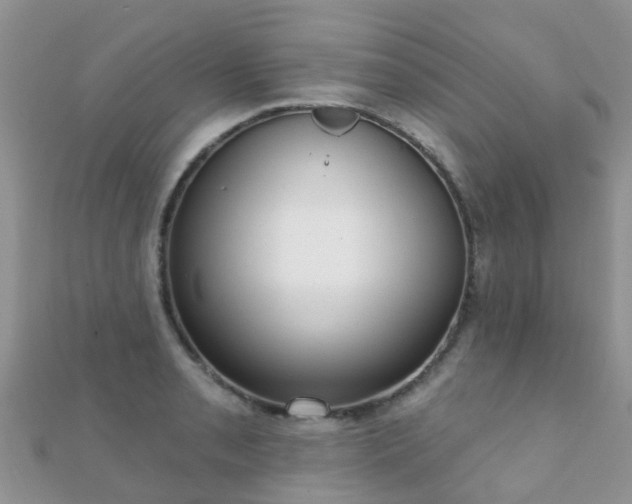 X0000112081085200908111450