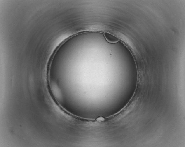 X0000112081087200908111450