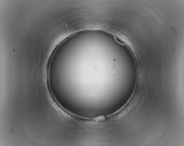 X0000112081088200908111450