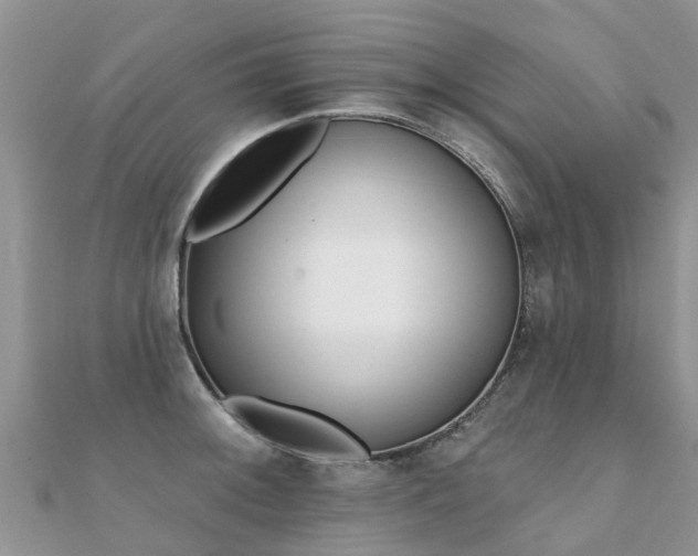 X0000112081092200908111449