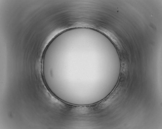 X0000112081094200908111449