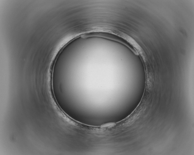 X0000112081096200908111449