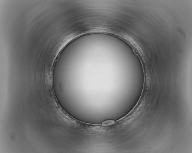 X0000112081097200908111449