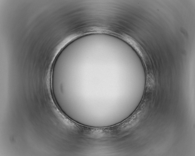 X0000112081098200908111449