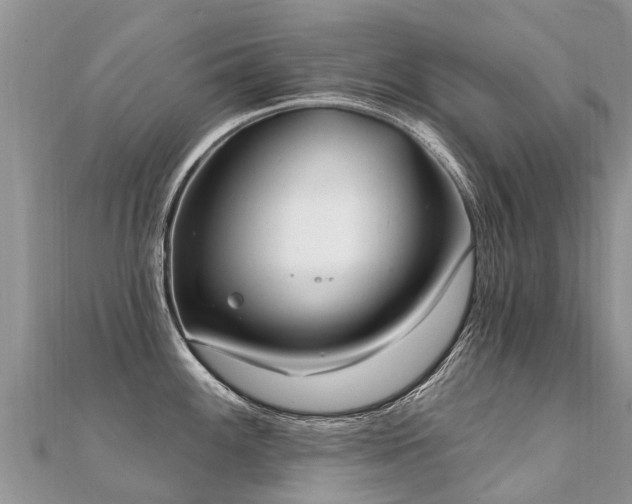 X0000112081100200908111449