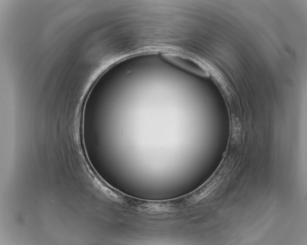 X0000112081102200908111449