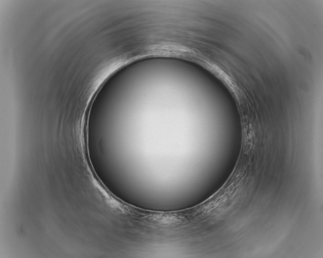 X0000112081103200908111449