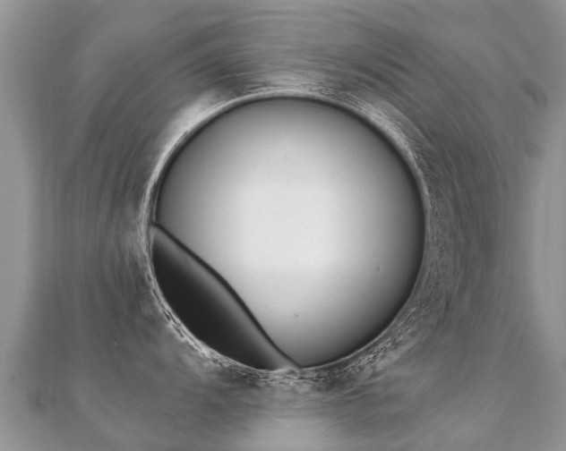 X0000112081104200908111449