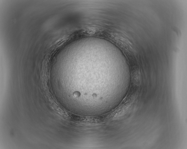 X0000112081105200908111449
