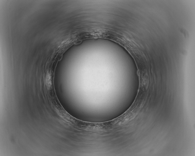 X0000112081106200908111449