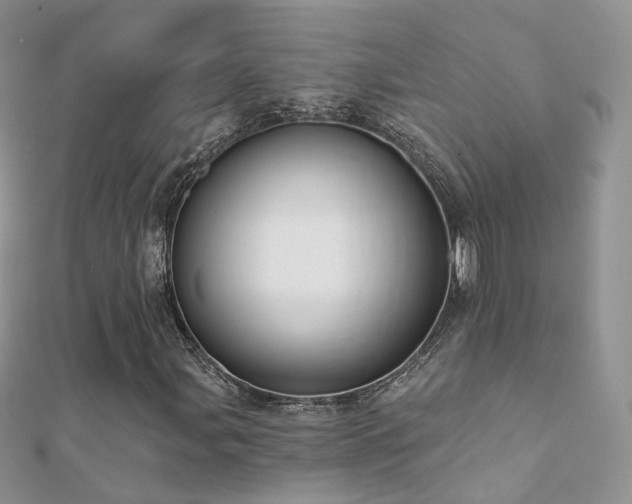 X0000112081107200908111449