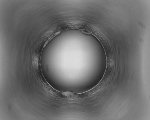 X0000112081108200908111449