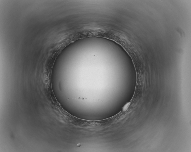 X0000112081109200908111449