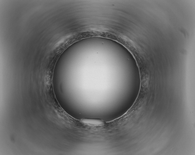 X0000112081110200908111449