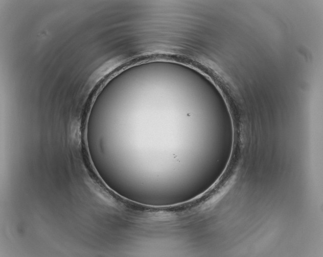 X0000112081113200908111449