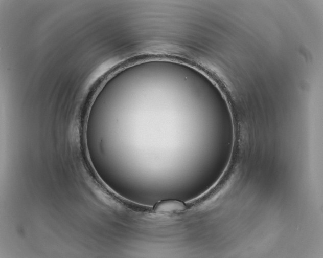 X0000112081114200908111449
