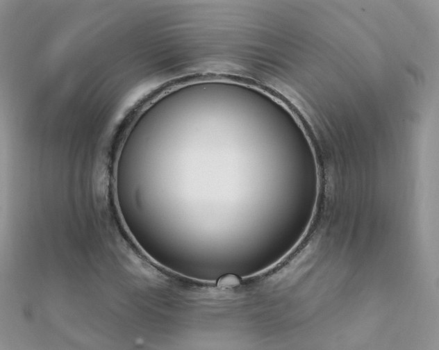 X0000112081115200908111449